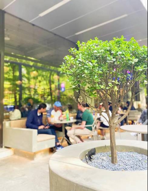 拱墅闹中取静的体闲减压咖啡馆–BigSmallCoffee(麦子店)插图 拱墅闹中取静的体闲减压咖啡馆--BigSmallCoffee(麦子店)