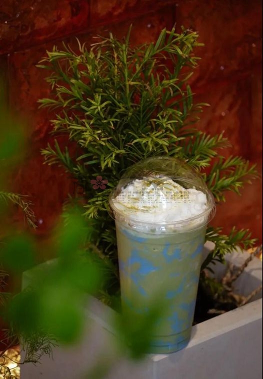 感受森林与大海气息的养生咖啡店–杉海鲸(三里屯店)插图1 感受森林与大海气息的养生咖啡店--杉海鲸(三里屯店)