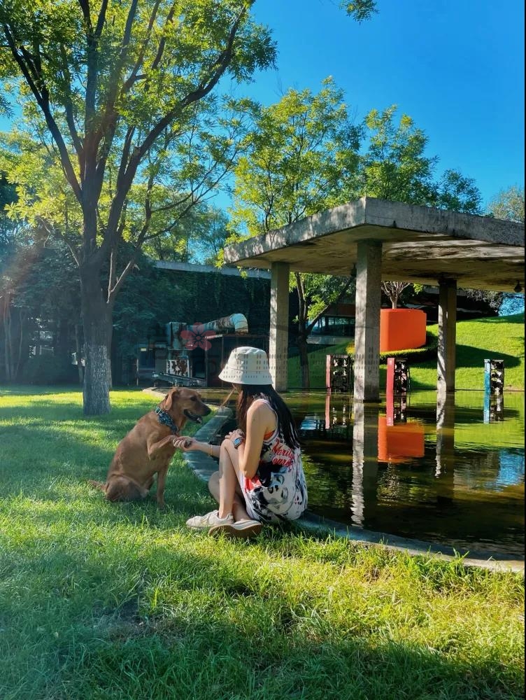 酒仙桥减压休闲的咖啡馆–蓝羊咖啡(酒仙桥店)插图1 酒仙桥减压休闲的咖啡馆--蓝羊咖啡(酒仙桥店)