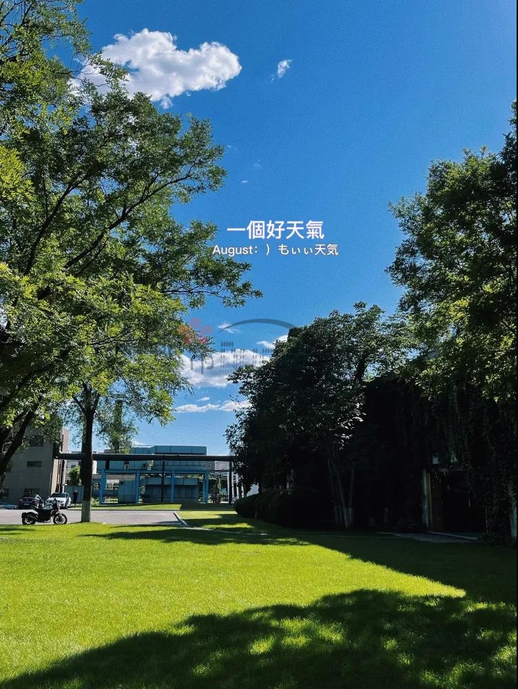 酒仙桥减压休闲的咖啡馆–蓝羊咖啡(酒仙桥店)插图 酒仙桥减压休闲的咖啡馆--蓝羊咖啡(酒仙桥店)