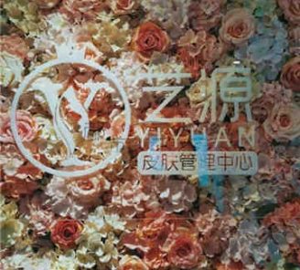 艺源韩国皮肤管理中心(首城国际店)