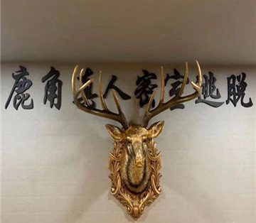 鹿角真人密室逃脱（临平店）