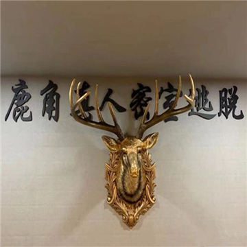 鹿角真人密室逃脱（临平店）