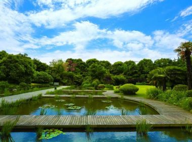 本地人私藏的解压放松好去处–杭州慢生活攻略