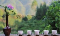 杭州西湖茶楼体验指南：湖光山色里的慢时光
