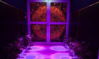 杭州男士养生：打破刻板印象，解锁职场精英的轻养疗愈新方式