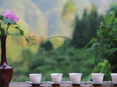 杭州西湖茶楼体验指南：湖光山色里的慢时光